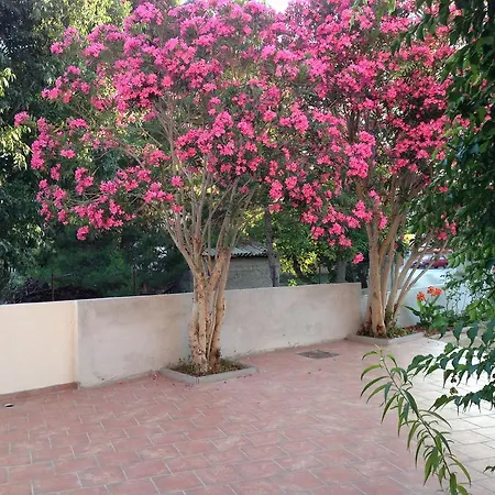 Daire Casa Rosa